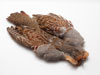 Partridge Skin