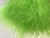 Marabou Colours: Chartreuse