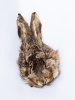 Whole Hares Mask